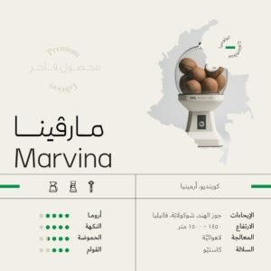 Marvina | مارفينا سويل